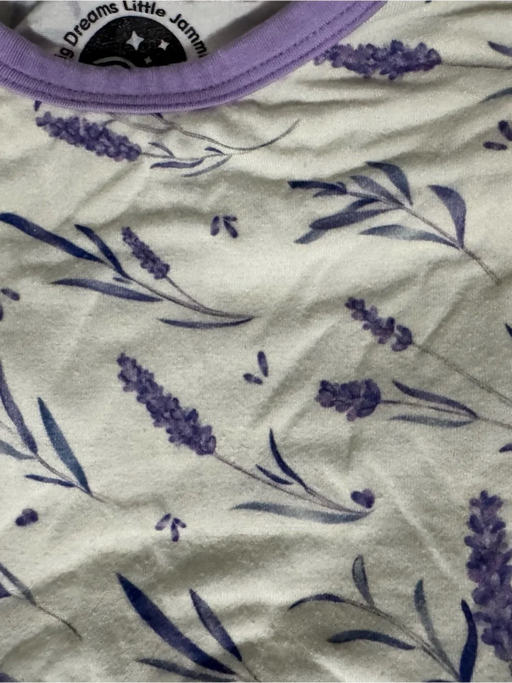 Big Dreams Little Jammies bamboo pj set